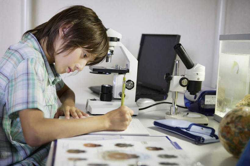 西方人,儿童,一个人,坐,横图,室内,白天,侧面,纯洁,仪器,桌子,欧洲,欧洲人,仅一个男性,仅一个人,握,服装,检查,反射,分析,科学,笔,显微镜,办公用品,记事本,拿,拿着,注视,休闲装,书桌,水笔,文具,小孩,衣服,本子,笔记本,课桌,学习用品,观察,看,仅一个小孩,休闲,休闲服,可爱,清晰,探索,童年,童趣,握着,服饰,放大,观看,仔细,文具用品,透镜,察看,书写,凸透镜,聚焦,关注,童真,烂漫,无邪,光学,清楚,天真,男孩,男人,男性,白种人,孩子,坐着,半身,彩图,男生