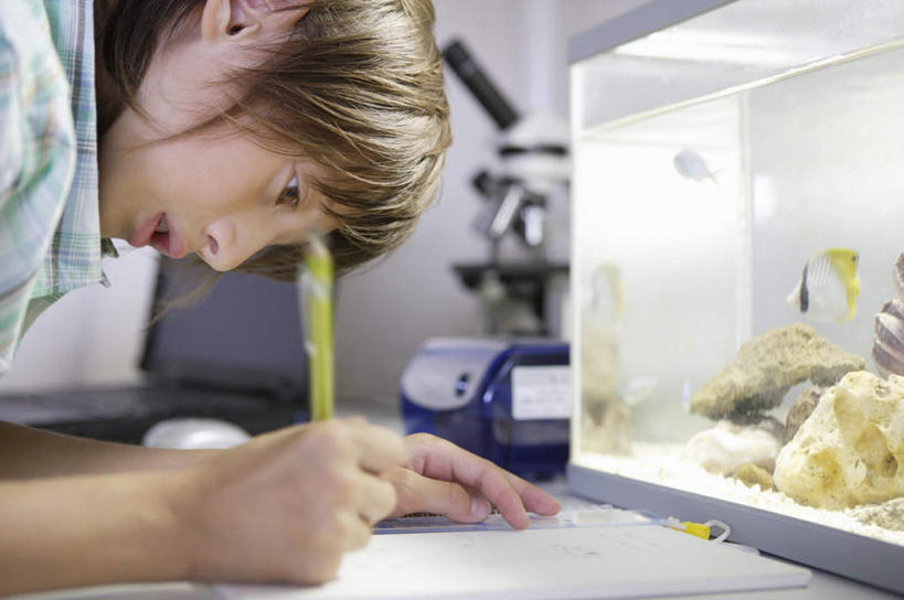 西方人,儿童,一个人,坐,横图,室内,白天,侧面,纯洁,仪器,桌子,玻璃,欧洲,欧洲人,仅一个男性,仅一个人,握,服装,检查,反射,分析,科学,笔,显微镜,办公用品,记事本,鱼缸,拿,拿着,注视,休闲装,书桌,水笔,玻璃制品,文具,小孩,衣服,本子,笔记本,课桌,学习用品,观察,看,仅一个小孩,休闲,休闲服,可爱,清晰,探索,童年,童趣,握着,服饰,放大,观看,仔细,文具用品,透镜,察看,书写,凸透镜,聚焦,关注,童真,烂漫,无邪,光学,清楚,天真,男孩,男人,男性,白种人,孩子,坐着,半身,彩图,男生