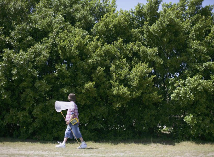 西方人,儿童,一个人,走,横图,室外,白天,侧面,纯洁,植物,欧洲,欧洲人,仅一个男性,仅一个人,握,阴影,服装,光线,影子,捕虫网,拿,拿着,注视,树,树木,小孩,衣服,蓝色,绿色,蓝天,天空,阳光,自然,天,观察,看,仅一个小孩,可爱,童年,童趣,握着,服饰,生长,晴朗,成长,观看,扫网,水网,察看,衣着,穿着,关注,童真,烂漫,无邪,万里无云,扑网,衣饰,天真,男孩,男人,男性,白种人,孩子,晴空,晴空万里,步行,散步,走路,彩图,全身,男生