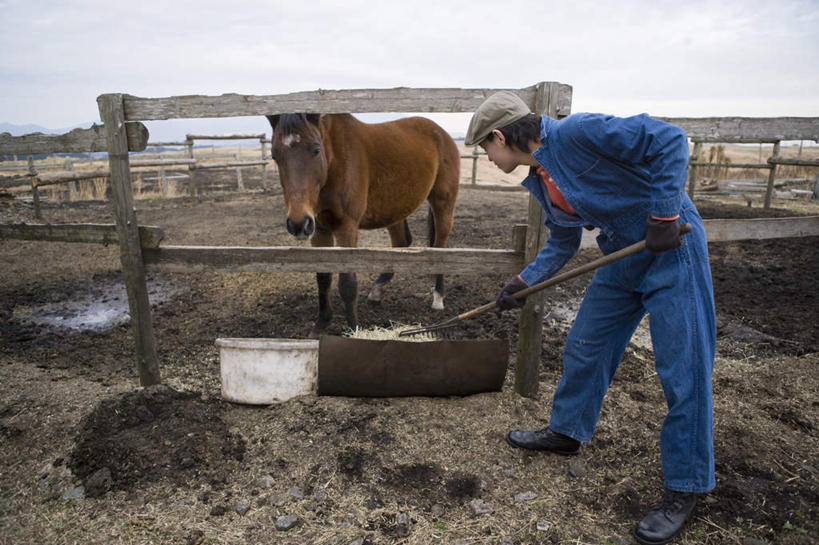 东方人,一个人,农民,农场,栏杆,站,横图,室外,白天,侧面,工作服,制服,畜牧业,牧场,马,野生动物,帽子,金属制品,亚洲,仅一个男性,仅一个人,握,金属,工具,栅栏,篱笆,云,云朵,围栏,拿,云彩,拿着,扭头,注视,黄种人,运动帽,护栏,一匹,仅一个年轻男性,蓝色,白云,蓝天,天空,动物,天,观察,看,站着,转头,鸭舌帽,握着,运输,牲畜,晴朗,观看,挖掘,察看,锄,锄头,关注,农具,畜牧,牧业,农人,耕具,工作制服,开掘,发掘,开垦,男人,男性,年轻男性,亚洲人,晴空,农夫,站立,彩图,全身,工作套服