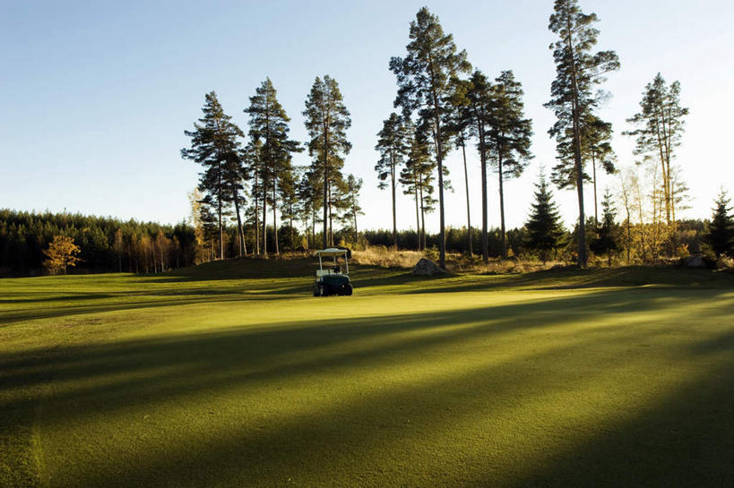 无人,横图,室外,白天,仰视,草地,草坪,美景,树林,植物,许多,阴影,光线,影子,景观,草,树,树木,蓝色,绿色,蓝天,天空,阳光,自然,交通工具,天,景色,生长,晴朗,成长,自然风光,载具,高尔夫车,高尔夫球车,高尔夫观光车,高尔夫用品,万里无云,晴空,晴空万里,彩图,低角度拍摄