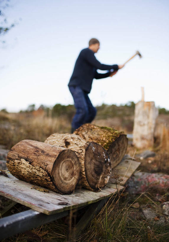 西方人,一个人,站,举,竖图,室外,白天,仰视,草地,草坪,植物,欧洲,欧洲人,仅一个男性,仅一个人,仅一个中年男性,握,树桩,拿,拿着,草,树,树木,蓝色,绿色,蓝天,天空,自然,天,托,站着,木桩,握着,生长,晴朗,成长,砍,斧头,万里无云,斧子,男人,男性,中年男性,白种人,晴空,晴空万里,举起,举手,举着,向上举,向上伸,向上托,站立,半身,彩图,低角度拍摄
