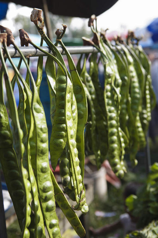 无人,竖图,俯视,室外,白天,植物,一排,许多,晾晒,阴影,整齐,光线,影子,豆类,豆子,豌豆,荷兰豆,架子,排列,阳光,队列,雪豆,豆科,寒豆,毕豆,麻累,国豆,小寒豆,麦豌豆,彩图,高角度拍摄