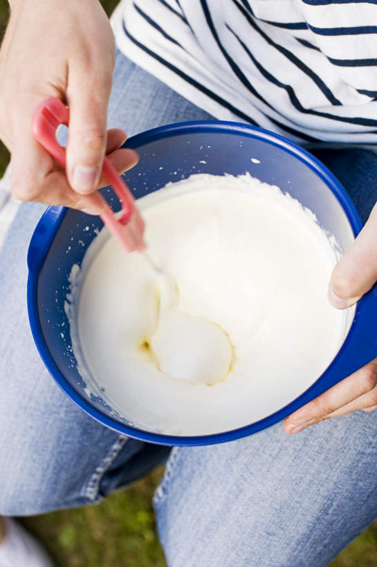 奶酪,一个人,坐,举,竖图,俯视,室内,白天,仅一个年轻女性,仅一个女性,仅一个人,握,干酪,起司,芝士,营养,拿,拿着,搅拌器,碗,搅拌,托,乳酪,握着,乳制品,发酵,年轻女性,女人,女性,举起,举手,举着,向上举,向上伸,向上托,坐着,半身,彩图,高角度拍摄