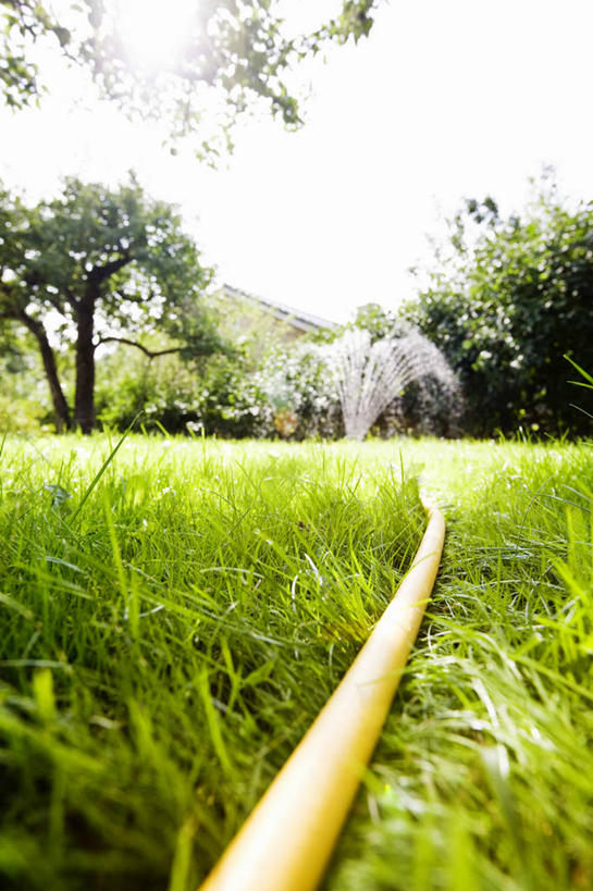 无人,竖图,室外,白天,正面,草地,草坪,水,植物,阴影,飞溅,溅,光线,管子,液体,影子,塑料,水滴,云,云朵,云彩,管道,水珠,草,树,树木,蓝色,绿色,白云,蓝天,天空,阳光,自然,塑料制品,天,生长,晴朗,成长,喷洒,塑料管,晴空,彩图,合成材料