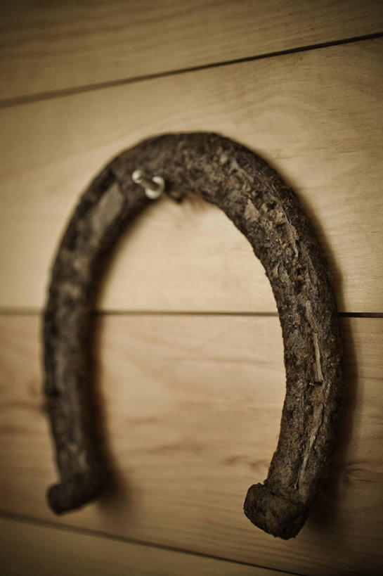 无人,竖图,室内,特写,白天,正面,静物,金属制品,吊挂,悬挂,阴影,反射,金属,木制,影子,墙,挂,墙壁,墙面,一个,木制品,单个,马蹄铁,彩图