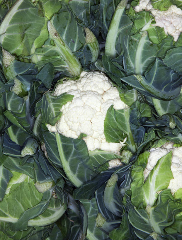 无人,竖图,俯视,室外,特写,白天,蔬菜,一堆,许多,堆叠,堆积,新鲜,花菜,花椰菜,西兰花,食品,很多,食物,绿色,白色,有机食品,绿色食品,堆,椰菜花,甘蓝花,彩图,高角度拍摄