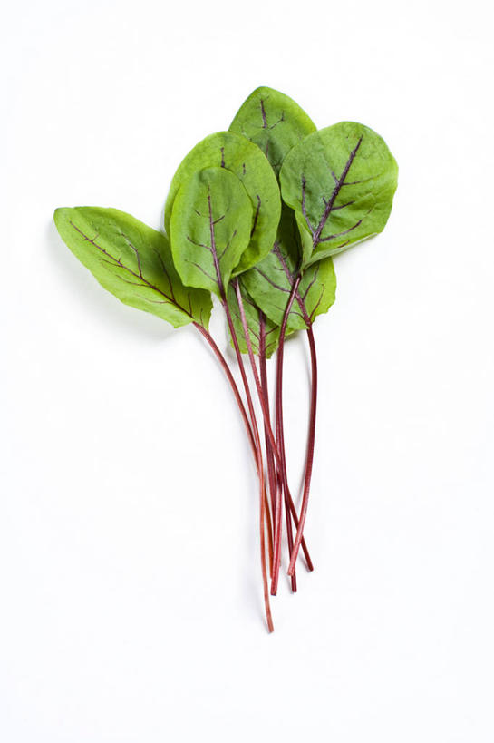 无人,竖图,俯视,室内,特写,白天,白色背景,餐桌,桌子,蔬菜,叶子,许多,阴影,新鲜,反射,影子,食品,绿叶,很多,食物,绿色,紫色,嫩叶,摄影,有机食品,绿色食品,影棚,餐台,萝卜缨,叶,叶片,彩图,高角度拍摄,影棚拍摄,拍摄,莱菔叶,萝卜叶