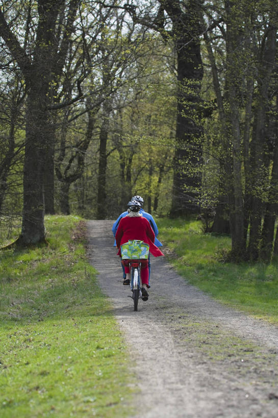 西方人,中年人,两个人,家庭,夫妻,竖图,室外,白天,运动服,爱情,草地,草坪,树林,植物,道路,路,自行车,欧洲,欧洲人,握,阴影,服装,光线,影子,小路,交通,浪漫,车,脚踏车,草,树,树木,骑,背面,衣服,红色,蓝色,绿色,阳光,自然,交通工具,骑车,温暖,温馨,一家人,恩爱,握着,恋人,服饰,双人自行车,生长,成长,和睦,衣着,穿着,载具,衣饰,男人,男性,女人,女性,中年男性,中年女性,白种人,夫妇,情侣,彩图,全身,伴侣,融洽,运动装