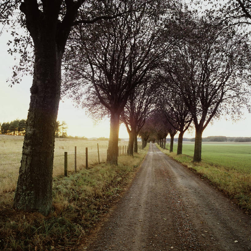 无人,栏杆,方图,室外,白天,正面,消失点,旅游,度假,草地,草坪,美景,树林,植物,道路,路,瑞典,欧洲,阴影,光线,影子,栅栏,景观,篱笆,围栏,小路,交通,娱乐,护栏,草,树,树木,蓝色,绿色,蓝天,天空,阳光,自然,天,享受,休闲,景色,放松,生长,晴朗,成长,斯堪的纳维亚,自然风光,北欧,斯堪的那维亚,斯堪的那维亚半岛,斯堪的纳维亚半岛,万里无云,瑞典王国,晴空,晴空万里,彩图,没影点,灭点,斯堪尼省