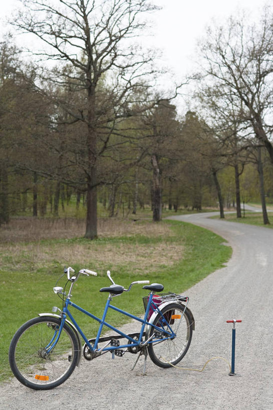 无人,竖图,室外,白天,正面,旅游,度假,草地,草坪,美景,树林,植物,道路,路,自行车,一辆,阴影,弯曲,光线,影子,景观,小路,交通,娱乐,车,脚踏车,草,树,树木,蓝色,绿色,蓝天,天空,阳光,自然,交通工具,天,享受,休闲,景色,放松,双人自行车,蜿蜒,生长,晴朗,成长,自然风光,载具,万里无云,晴空,晴空万里,彩图