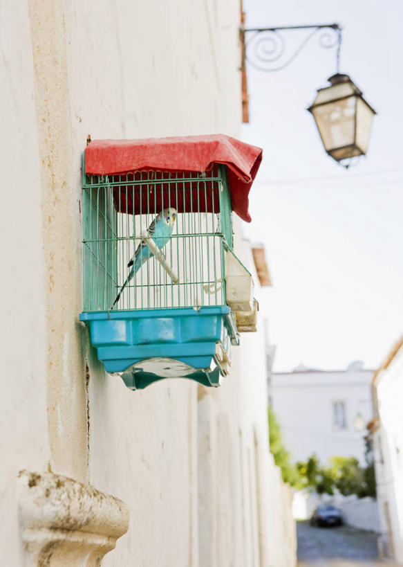 无人,站,竖图,室外,白天,仰视,度假,美景,城市风光,城市,鸟,照明,葡萄牙,欧洲,阴影,光线,鸟类,壁灯,影子,墙,景观,灯光,笼子,鸟笼,注视,娱乐,墙壁,墙面,灯,一只,蓝色,白色,蓝天,天空,阳光,容器,灯具,天,观察,看,站着,享受,休闲,景色,放松,晴朗,观看,储藏,照亮,察看,照明设备,储存,关注,南欧,金丝雀,万里无云,雀,白燕,白玉鸟,芙蓉鸟,葡萄牙共和国,晴空,晴空万里,站立,彩图,低角度拍摄,全身,贮存