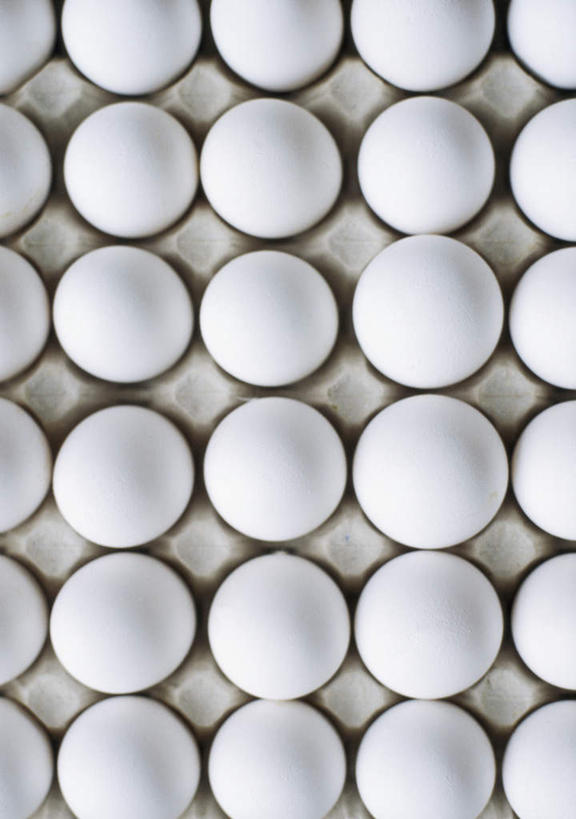 无人,竖图,俯视,室内,特写,白天,静物,一排,许多,环保,整齐,蛋格,纸盒,蛋,鸡蛋,排列,白色,能源,回收,资源,队列,利用,低碳,鸡蛋盒,循环,草鸡蛋,鸡蛋格,蛋托,蛋盒,卵,持续,彩图,高角度拍摄