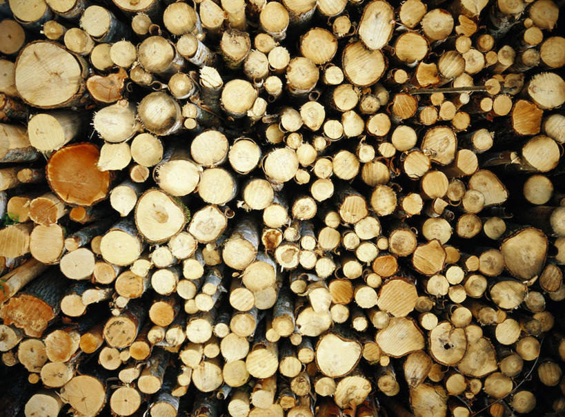 无人,横图,室外,白天,正面,静物,一堆,许多,堆叠,堆积,环保,木材,木柴,比较,木料,能源,堆,木棍,回收,资源,衡量,利用,低碳,循环,持续,彩图