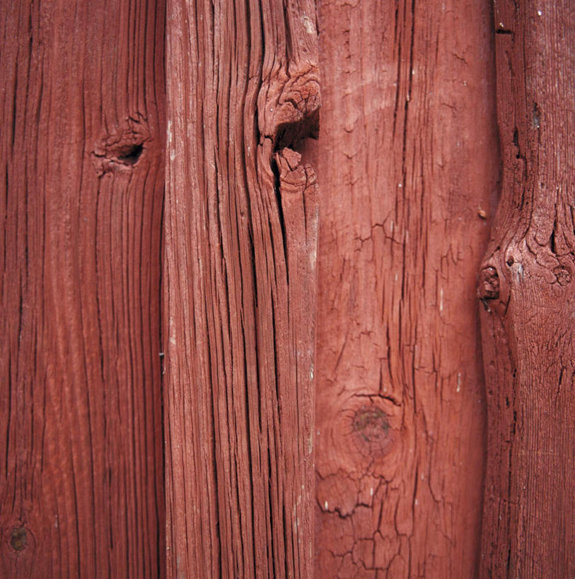 无人,竖图,室内,特写,白天,正面,门,阴影,古老,残缺,光线,纹路,木制,纹理,影子,褐色,阳光,木制品,门框,残破,陈腐,彩图