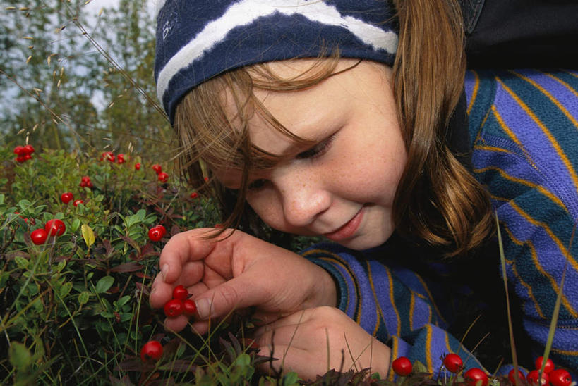 西方人,儿童,一个人,笑,微笑,横图,俯视,室外,特写,白天,纯洁,草地,植物,浆果,帽子,水果,叶子,欧洲,欧洲人,仅一个女性,仅一个人,阴影,服装,新鲜,光线,影子,斑点,生食,食品,果实,绿叶,注视,休闲装,运动帽,草,树,树木,食物,小孩,衣服,蓝色,绿色,蓝天,天空,阳光,自然,天,采,观察,看,趴着,摘,仅一个小孩,休闲,休闲服,嫩叶,鸭舌帽,可爱,童年,童趣,服饰,有机食品,绿色食品,生长,成长,观看,察看,雀斑,关注,童真,烂漫,无邪,雀瘢,天真,女孩,女人,女性,白种人,孩子,叶,叶片,趴,半身,彩图,高角度拍摄,女生