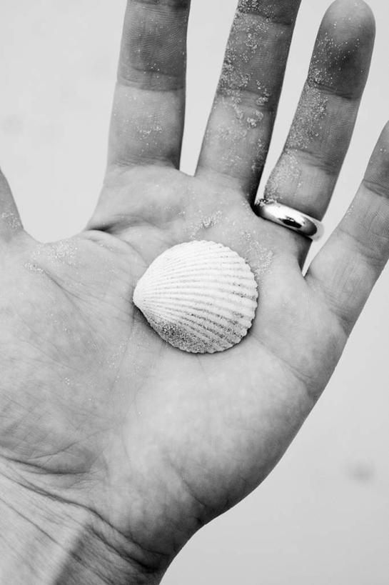 手,一个人,竖图,俯视,黑白,室内,特写,白天,爱情,贝壳,仅一个人,灰色背景,浪漫,装饰品,戒指,饰品,首饰,手部,恩爱,摄影,影棚,信物,权利,手饰,贝类外壳,海螺壳,软体动物外壳,半身,高角度拍摄,影棚拍摄,拍摄