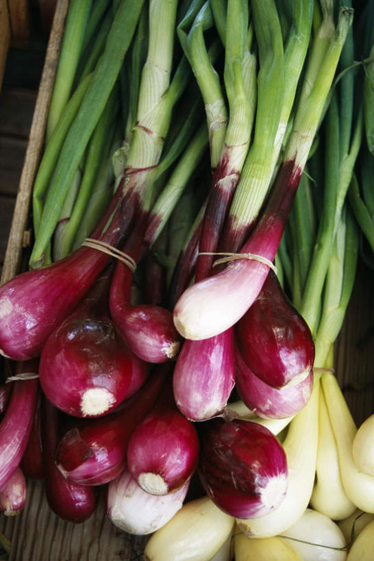 无人,竖图,俯视,室外,特写,白天,蔬菜,洋葱,静物,一堆,许多,堆积,新鲜,食品,食物,有机食品,绿色食品,堆,圆葱,洋葱头,球葱,彩图,高角度拍摄