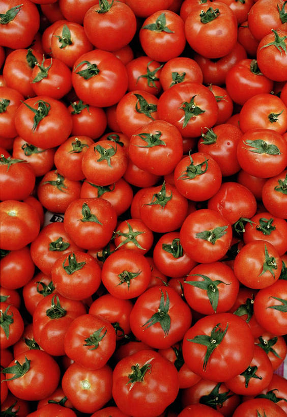 无人,竖图,俯视,室内,特写,白天,西红柿,静物,一堆,许多,阴影,堆叠,堆积,光线,影子,红色,绿色,阳光,球体,堆,萼片,番茄,彩图,高角度拍摄