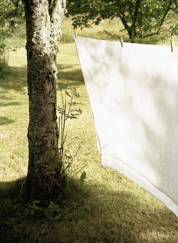 无人,竖图,俯视,室外,白天,旅游,度假,草地,草坪,美景,树林,植物,一条,吊挂,悬挂,阴影,漂浮,光线,影子,景观,挂,娱乐,被子,草,树,树木,绿色,白色,阳光,自然,绳子,享受,休闲,景色,放松,晒,生长,成长,绳索,被单,自然风光,彩图,高角度拍摄