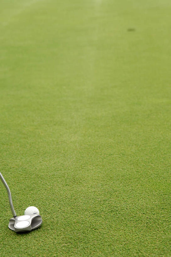 无人,竖图,俯视,室外,特写,白天,草地,草坪,植物,高尔夫,高尔夫球,球场,高尔夫球场,草,一个,绿色,单个,高尔夫球杆,绿茵场,高尔夫运动,高尔夫球具,彩图,高角度拍摄