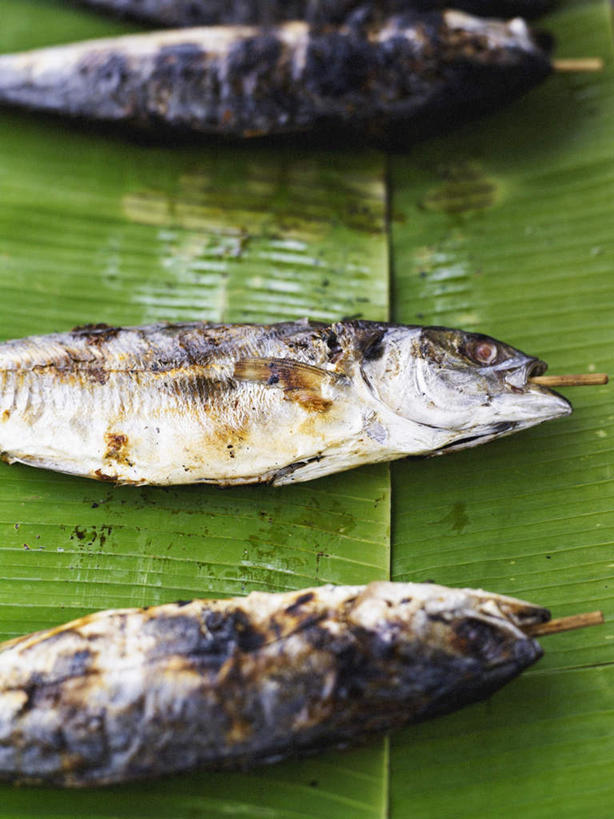 海鲜,无人,竖图,俯视,室内,白天,烧烤,叶子,一排,整齐,鱼,绿叶,水产,鱼类,海洋生物,排列,嫩叶,三条,队列,水生动物,海产品,水生物,海底动物,叶,叶片,彩图,高角度拍摄