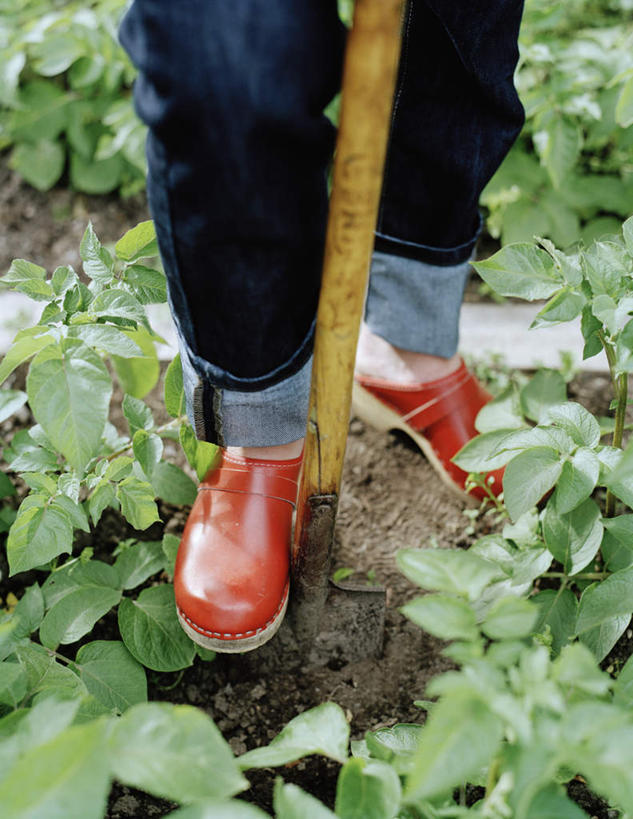 西方人,儿童,腿部,腿,一个人,农田,站,竖图,俯视,室外,特写,白天,鞋,纯洁,庄稼,农作物,鞋子,金属制品,欧洲,欧洲人,仅一个女性,仅一个人,裤子,金属,木制,工具,泥土,皮革,插,牛仔裤,小孩,红色,蓝色,木制品,站着,仅一个小孩,可爱,童年,童趣,铁锹,童真,烂漫,无邪,天真,女孩,女人,女性,白种人,孩子,站立,半身,彩图,高角度拍摄,皮鞋,耕地,庄稼田,女生