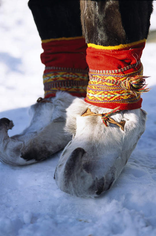 一个人,站,竖图,俯视,室外,白天,雪,大雪,瑞典,仅一个人,阴影,光线,影子,积雪,雪地,雪景,冬季,冬天,阳光,站着,寒冷,斯堪的纳维亚,斯堪的纳维亚半岛,严寒,瑞典王国,站立,半身,彩图,高角度拍摄