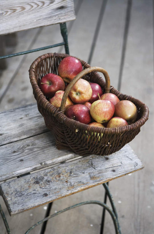 无人,竖图,俯视,室内,特写,白天,地板,苹果,水果,椅子,许多,新鲜,篮子,木椅,生食,食品,果实,地面,竹扁,木地板,食物,有机食品,绿色食品,竹编,彩图,高角度拍摄