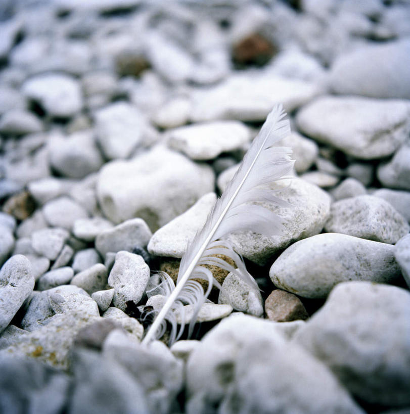 无人,竖图,俯视,室外,特写,白天,石头,美景,羽毛,许多,阴影,轻盈,柔软,光线,石子,影子,景观,阳光,自然,景色,自然风光,轻柔,石块,彩图,高角度拍摄