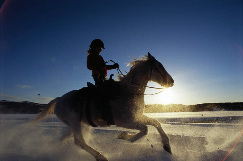 西方人,一个人,坐,拉,横图,室外,白天,侧面,游戏,马,野生动物,帽子,欧洲,欧洲人,仅一个年轻女性,仅一个女性,仅一个人,握,阴影,光线,头盔,影子,落日,背光,拿,玩,拿着,娱乐,马场,骑,蓝色,蓝天,天空,阳光,动物,安全帽,天,休闲,握着,运输,牲畜,活动,发泄,消遣,智力,飞扬,沙尘,逆光,宣泄,夕照,年轻女性,女人,女性,白种人,夕阳,玩耍,嬉戏,坐着,彩图,全身