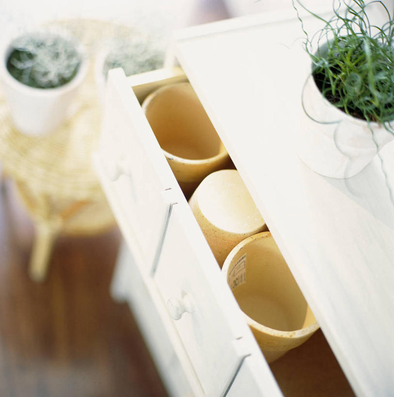 无人,竖图,俯视,室内,白天,植物,柜子,花盆,一排,阴影,朦胧,模糊,整齐,反射,盆栽,影子,陶瓷,盆景,陶瓷制品,储物柜,排列,绿色,自然,容器,生长,成长,储藏,储存,队列,储备,蕴藏,贮备,彩图,高角度拍摄,贮存