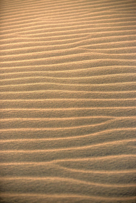 无人,竖图,俯视,室外,白天,旅游,度假,美景,沙漠,阴影,光线,纹路,纹理,影子,景观,娱乐,阳光,自然,享受,休闲,景色,放松,自然风光,肌理,大漠,砂漠,彩图,高角度拍摄