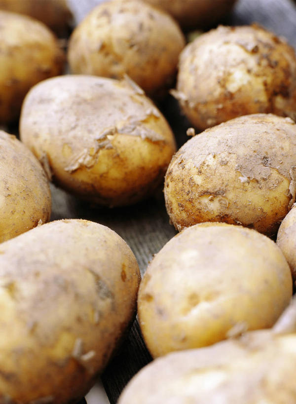 无人,竖图,俯视,室内,特写,白天,蔬菜,土豆,许多,阴影,新鲜,反射,影子,食品,食物,排列,有机食品,绿色食品,馍馍蛋,摆列,洋芋,山药蛋,马铃薯,彩图,高角度拍摄,布列,分列