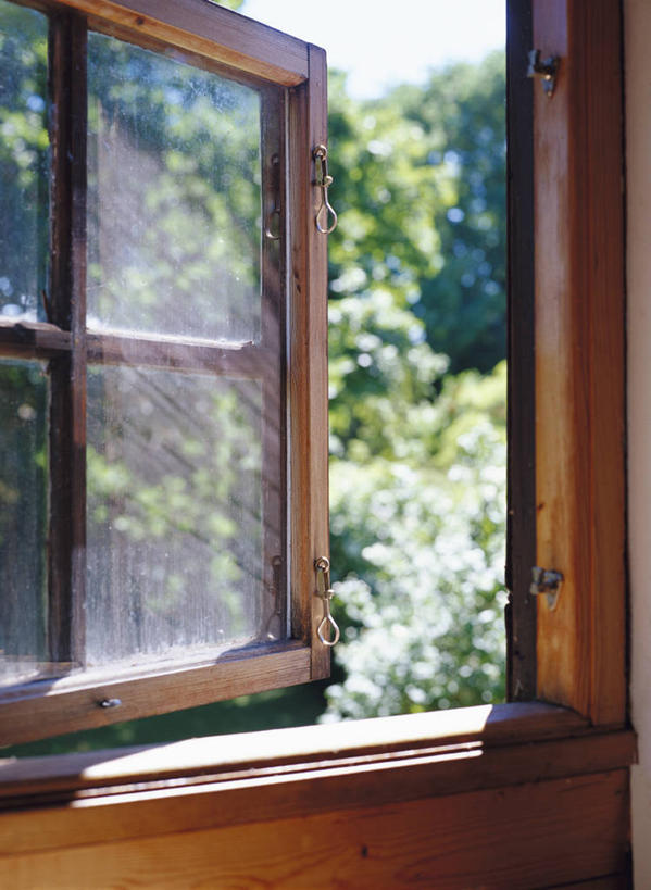 无人,竖图,室内,白天,正面,植物,窗户,阴影,朦胧,模糊,光线,木制,影子,墙,玻璃窗,墙壁,墙面,树,树木,绿色,阳光,自然,木制品,生长,成长,彩图