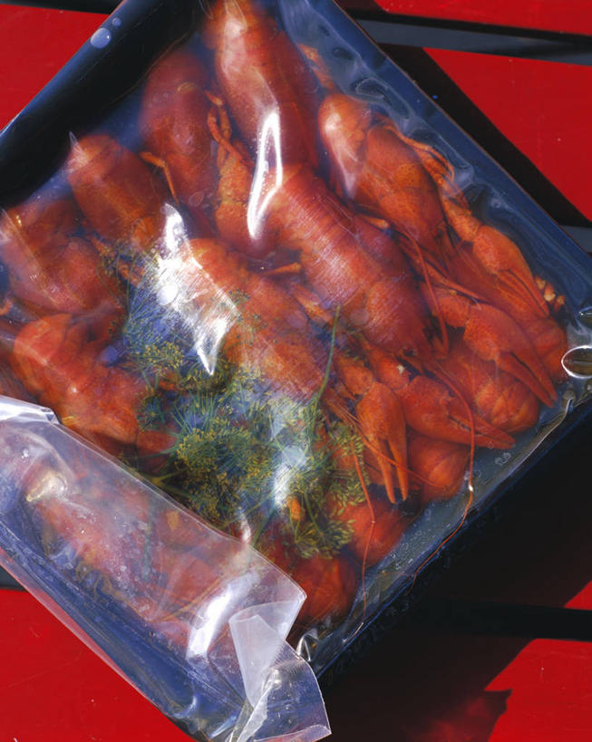 无人,竖图,俯视,室内,特写,白天,餐桌,桌子,袋子,一堆,许多,阴影,堆叠,堆积,红色背景,反射,影子,塑料,调味,香料,佐料,塑料袋,容器,塑料制品,摄影,影棚,餐台,小龙虾,储藏,堆,配料,储存,保鲜袋,莳萝,作料,洋茴香,土茴香,淡水小龙虾,红螯虾,克氏原螯虾,剌蛄,彩图,高角度拍摄,影棚拍摄,拍摄,贮存