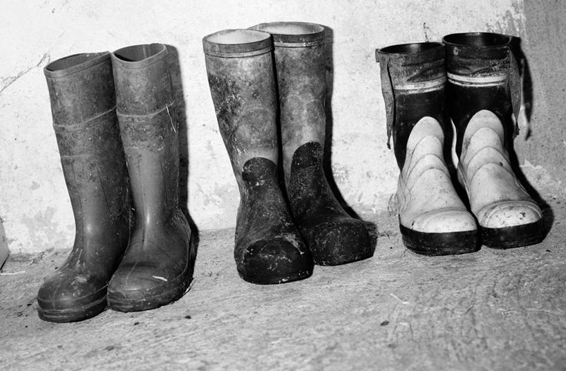 无人,横图,黑白,室内,特写,白天,正面,静物,鞋子,三双,阴影,反射,影子,墙,靴子,墙壁,墙面,牛仔靴