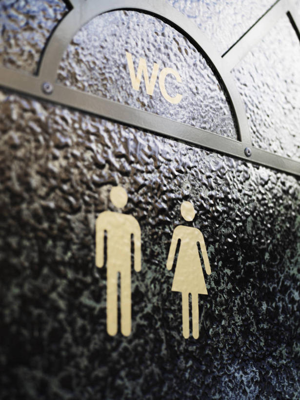 无人,两个人,竖图,室外,特写,白天,仰视,裙子,卫生间,洗手间,指示牌,静物,连衣裙,英文,标志,文字,字符,字母,标识,英文字母,公厕,公共厕所,男人,男性,年轻男性,年轻女性,女人,女性,厕所,彩图,低角度拍摄