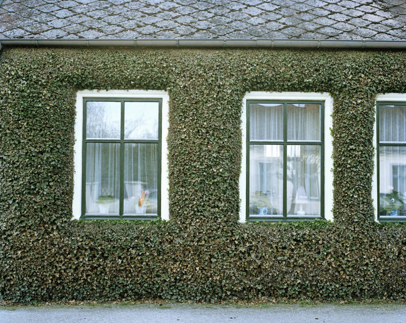 无人,家,横图,室外,白天,正面,植物,窗户,建筑,瓦片,房屋,屋顶,屋子,公寓,常春藤,爬山虎,草药,顶棚,瓦,洋房,楼房,中药,玻璃窗,住宅,建造,药材,中草药,爬墙虎,屋瓦,中药材,本草,地锦,趴山虎,巴山虎,彩图,房子,常青藤