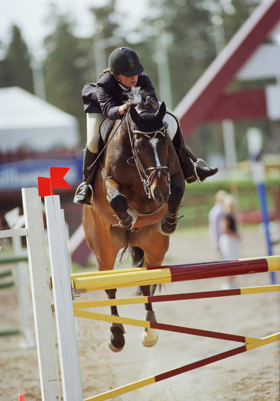 西方人,一个人,跳,竖图,室外,白天,正面,树林,植物,马,野生动物,欧洲,欧洲人,仅一个年轻女性,仅一个女性,仅一个人,一排,许多,朦胧,模糊,整齐,一匹,马鞍,树,树木,排列,骑,绿色,自然,动物,运输,牲畜,生长,成长,队列,骑马装,障碍,马镫,骑装,年轻女性,女人,女性,白种人,跳跃,彩图,全身