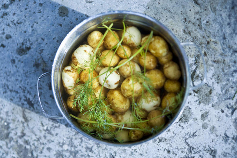 无人,横图,俯视,室外,特写,白天,蔬菜,土豆,静物,餐具,阴影,新鲜,光线,炖锅,影子,食品,食物,阳光,有机食品,绿色食品,莳萝,馍馍蛋,洋茴香,土茴香,进餐用具,烹调用具,洋芋,山药蛋,马铃薯,彩图,高角度拍摄