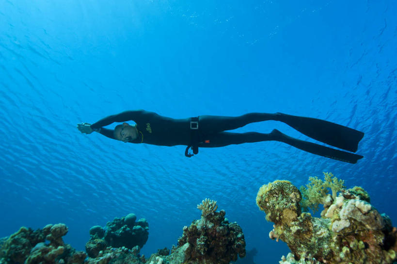 游泳,西方人,一个人,横图,室外,白天,仰视,锻炼,运动,海底,水下,欧洲,欧洲人,仅一个男性,仅一个人,珊瑚,水底,珊瑚礁,仅一个年轻男性,海底世界,潜水,海底礁,潜水运动,泅水,体育,男人,男性,年轻男性,白种人,海床,礁,岩石,彩图,低角度拍摄,全身,健身