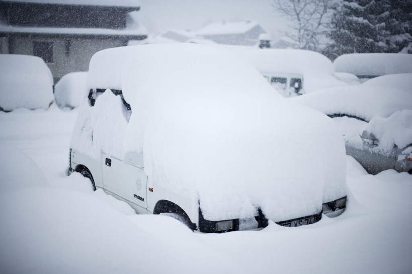 无人,家,横图,室外,白天,正面,树林,雪,植物,大雪,汽车,覆盖,房屋,屋子,积雪,雪景,冬季,冬天,公寓,洋房,楼房,住宅,车,树,树木,绿色,自然,交通工具,轿车,寒冷,生长,成长,载具,遮盖,严寒,笼罩,笼盖,彩图,房子