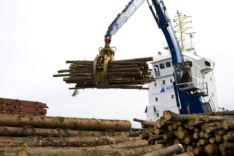 无人,工厂,横图,室外,白天,正面,技术,建筑,一堆,阴影,堆叠,堆积,光线,木材,影子,云,云朵,云彩,设备,木柴,施工,蓝色,白云,蓝天,天空,阳光,天,机械,起重机,木料,晴朗,堆,工场,工程,晴空,彩图