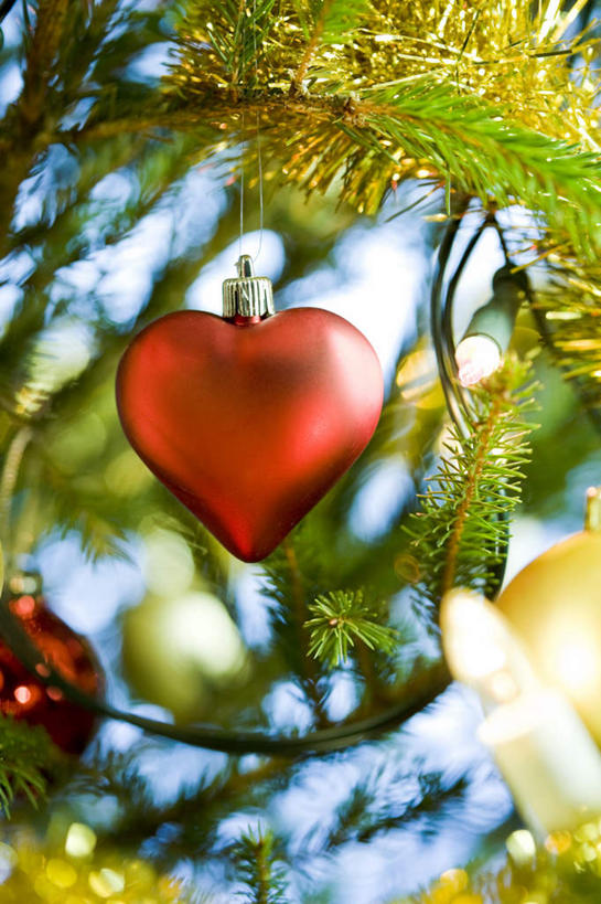 无人,竖图,室内,白天,仰视,爱情,圣诞节,节日,爱心,庆祝,装饰,挂饰,圣诞球,浪漫,文化,球,黄色,红色,庆典,球体,温暖,温馨,心形,恩爱,纪念,华丽,修饰,点缀,和睦,衬托,美观,雅致,雅观,心型,彩图,低角度拍摄,融洽