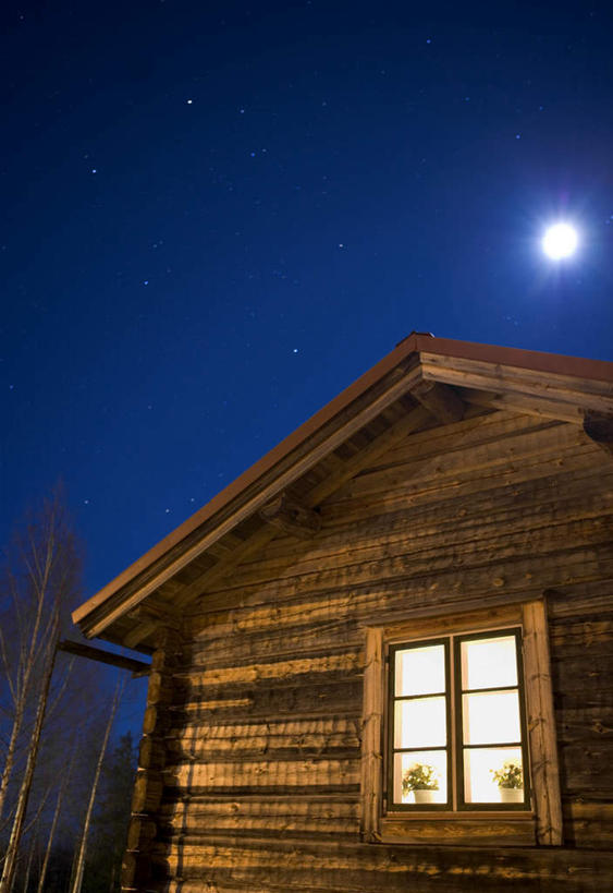 无人,竖图,室外,夜晚,仰视,树林,星空,植物,窗户,夜景,装饰,木制,盆栽,房屋,屋子,公寓,盆景,两盆,楼房,玻璃窗,住宅,树,树木,蓝色,绿色,蓝天,天空,自然,木制品,天,生长,晴朗,成长,华丽,修饰,点缀,万里无云,衬托,美观,雅致,雅观,晴空,晴空万里,星夜,夜空,彩图,低角度拍摄,房子