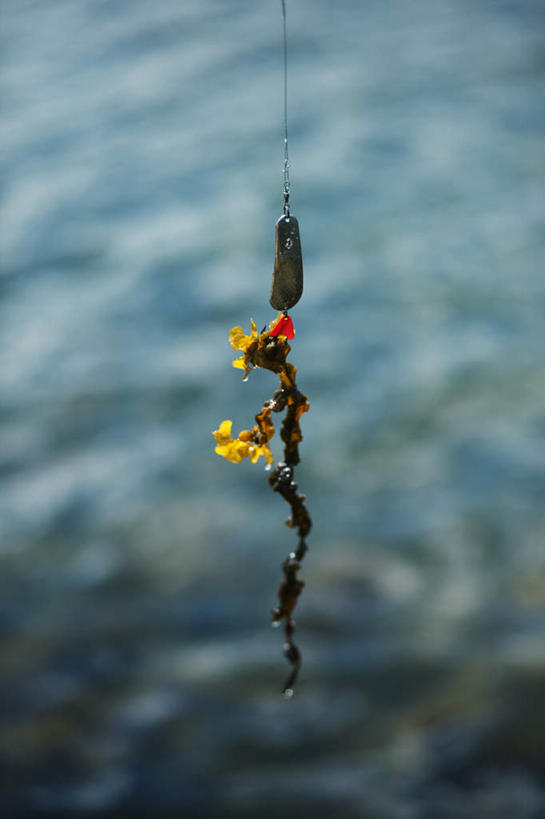 无人,竖图,俯视,室外,特写,白天,河流,水,钓鱼竿,波纹,朦胧,模糊,河水,水流,涟漪,一个,水纹,波浪,单个,渔具,鱼钩,鱼饵,水晕,钓竿,鱼竿,彩图,高角度拍摄,钓鱼