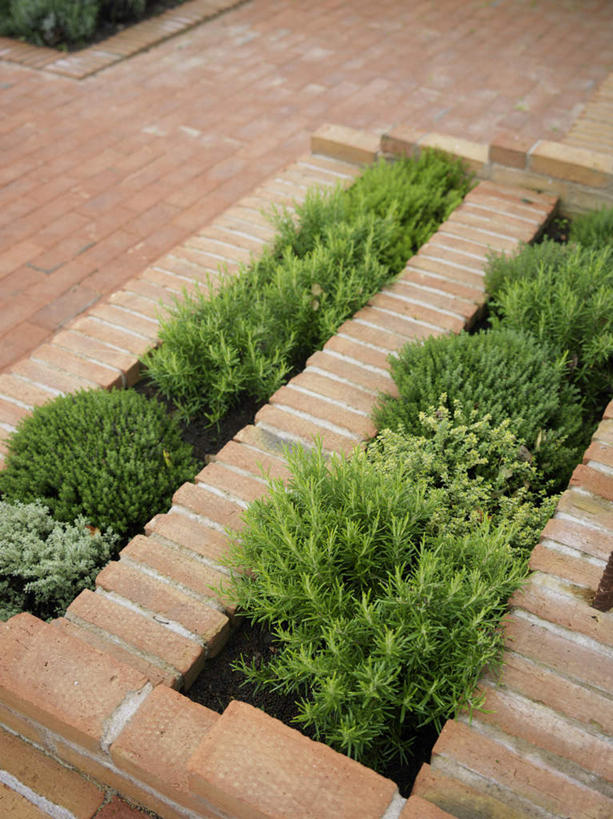 无人,竖图,俯视,室外,白天,植物,道路,路,叶子,一排,整齐,小路,绿叶,交通,排列,红色,绿色,嫩叶,砖头,乡间小路,灌木,堆,堆砌,队列,叶,叶片,彩图,高角度拍摄