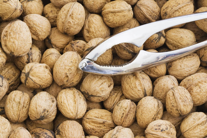 无人,横图,俯视,室内,特写,白天,一堆,许多,堆叠,堆积,工具,钳子,核桃,坚果,果实,很多,一个,干果,单个,堆,五金,胡桃,核桃钳,胡桃钳,羌桃,胡桃夹,彩图,高角度拍摄