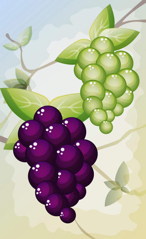 无人,竖图,插画,室内,特写,白天,正面,数码,科技,植物,葡萄,水果,叶子,阴影,新鲜,网络,纹理,生食,食品,果实,绿叶,高光,几何,计算机图形,合成,藤,图画,两串,画,食物,绿色,紫色,嫩叶,有机食品,绿色食品,电脑合成图,数码合成图,合成图,漫画,肌理,写实,具体,具象,叶,叶片,叶脉,山葫芦,蒲桃,草龙珠,彩图
